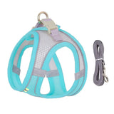 Adjustable Outdoor Dog Harness Leash Set for Small Dogs-Wiggleez-Blue Green-XXS 1-2 kg-Wiggleez