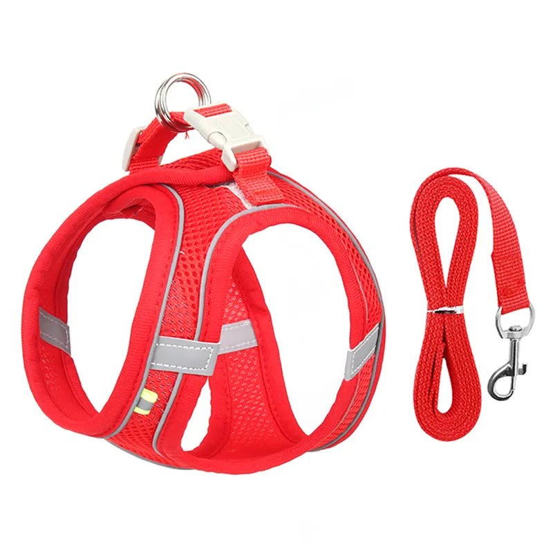 Adjustable Outdoor Dog Harness Leash Set for Small Dogs-Wiggleez-Red-XXS 1-2 kg-Wiggleez