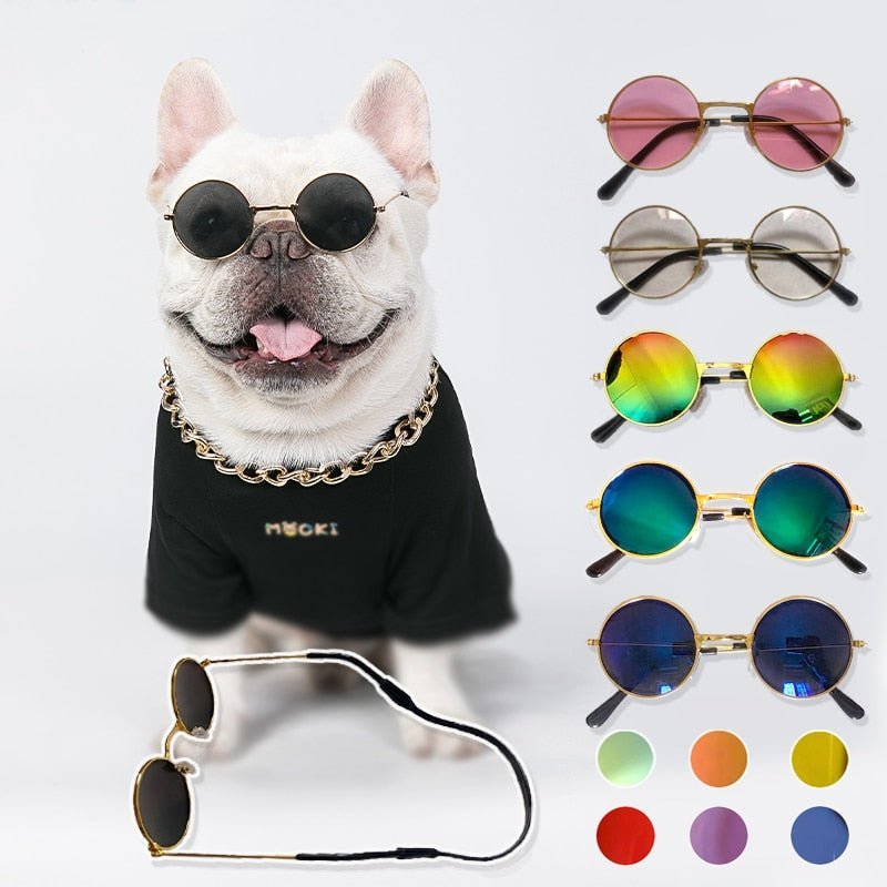 Cool Vintage Sunglasses Goggles for Cats and Dogs-Wiggleez-Black-M-Wiggleez