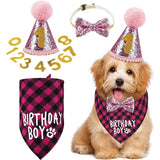 Dog Birthday Bandana Scarf-Wiggleez-Blue Set-Wiggleez