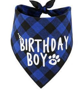 Dog Birthday Bandana Scarf-Wiggleez-Blue Scarf-Wiggleez